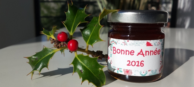 Belle année 2016 !