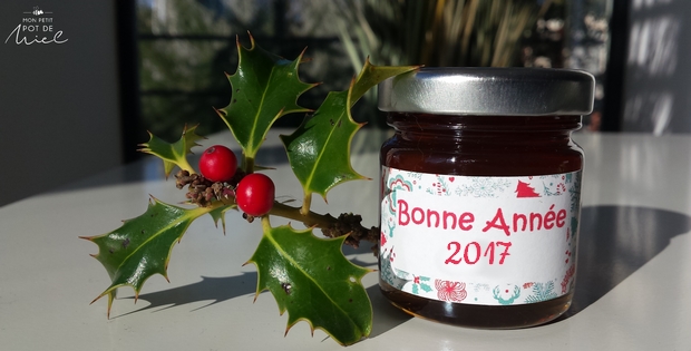 Très belle année 2017 !