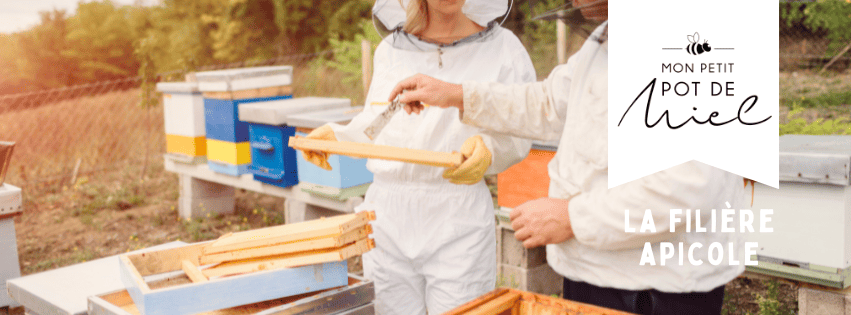 Petits pots de miel et consommation responsable : pourquoi nos choix comptent plus que jamais