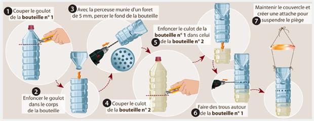 piège à frelons asiatique