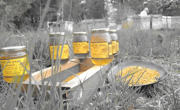 Pots de Miel - Apiculteur indépendant- sauvons les abeilles et filière apicole en consommant français
