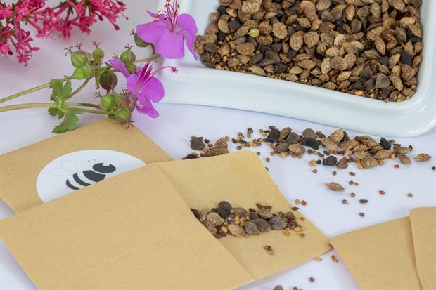 des idées de cadeaux écol et friendly pour les invités de votre mariage