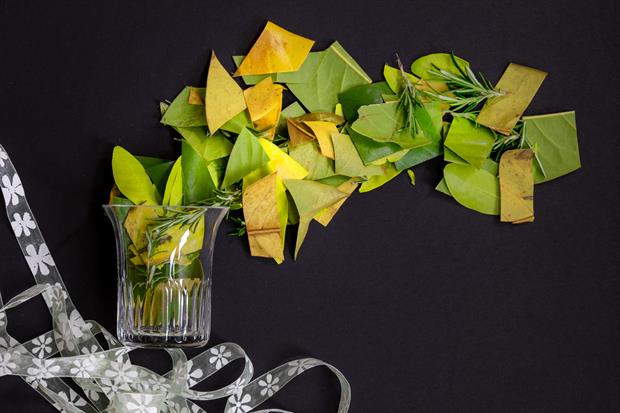 des idées de cadeaux eco friendly pour vos invités d'un mariage eco responsable : fabriquer des confettis en feuilles d'arbre