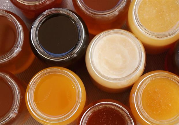 Différentes variétés de miel selon les nectars butinés par les abeilles