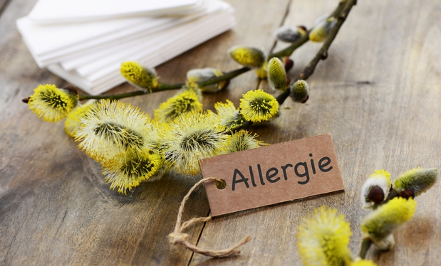 l'allergie aux pollens est une contre-indication à la consommation de miel