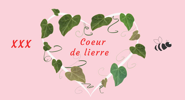 la feuille de lierre symbole de la forme du coeur