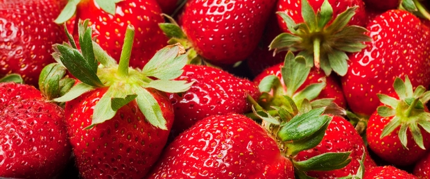 des fraises pour la recette du blanc-manger au miel d'acacia et fraises - Mon  petit pot de miel.com