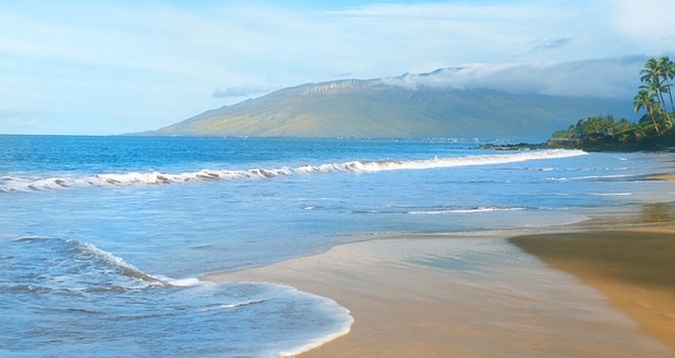 plage hawaienne