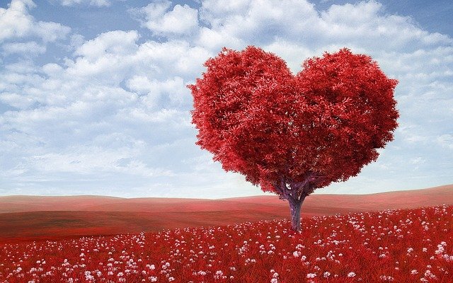 les symboles de la saint valentin la fête des amoureux