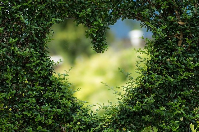 les symboles de la saint valentin la fête des amoureux